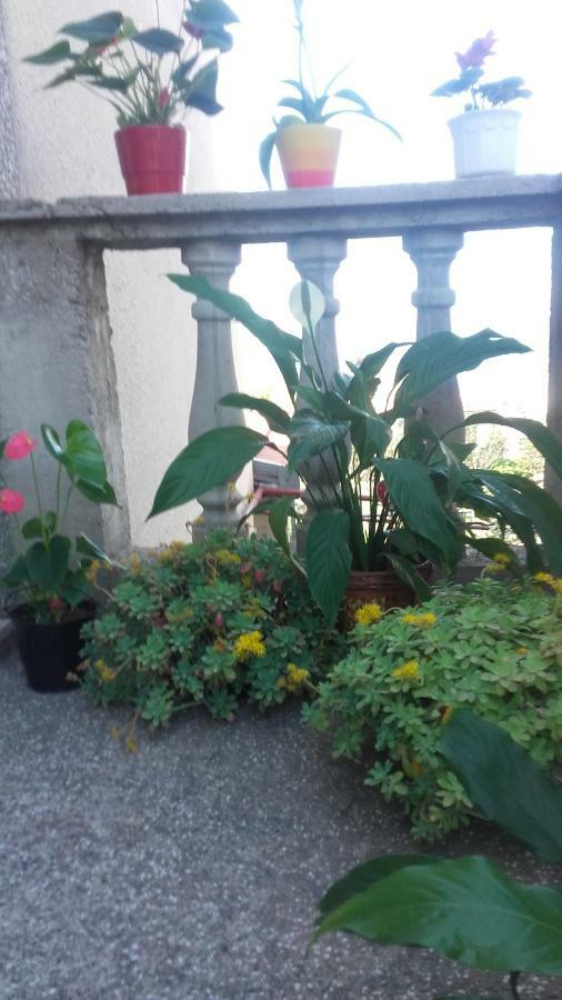 Apartment Bojana Нови Винодолски Екстериор снимка